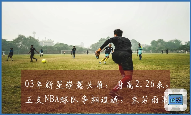 03年新星崭露头角，身高2.26米，五支NBA球队争相追逐，朱芳雨果然慧眼识珠