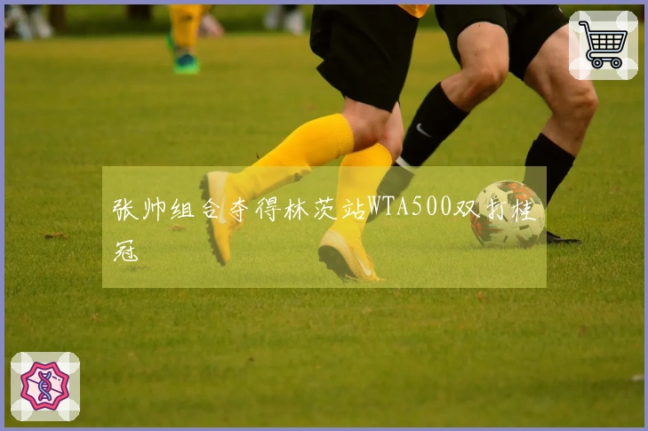 张帅组合夺得林茨站WTA500双打桂冠