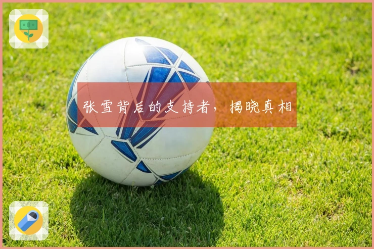 张雪背后的支持者，揭晓真相