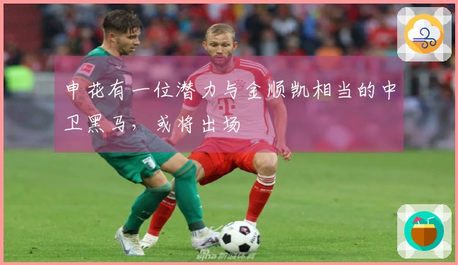 申花有一位潜力与金顺凯相当的中卫黑马，或将出场